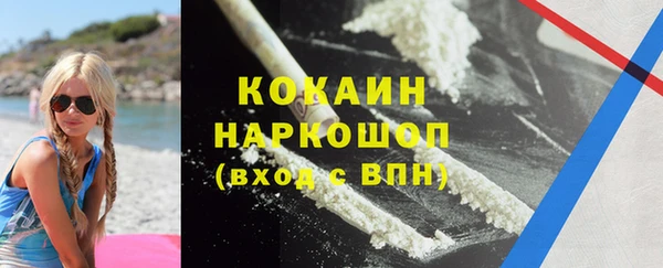 ешки Аркадак