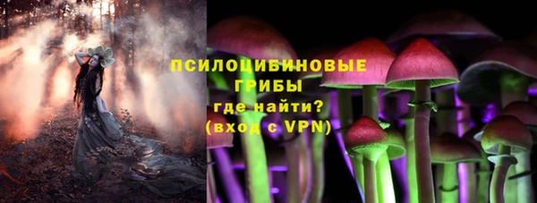 круглые Алзамай
