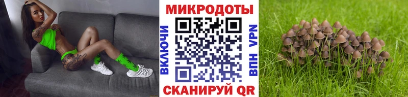 mega ТОР  Чистополь  Псилоцибиновые грибы мицелий 
